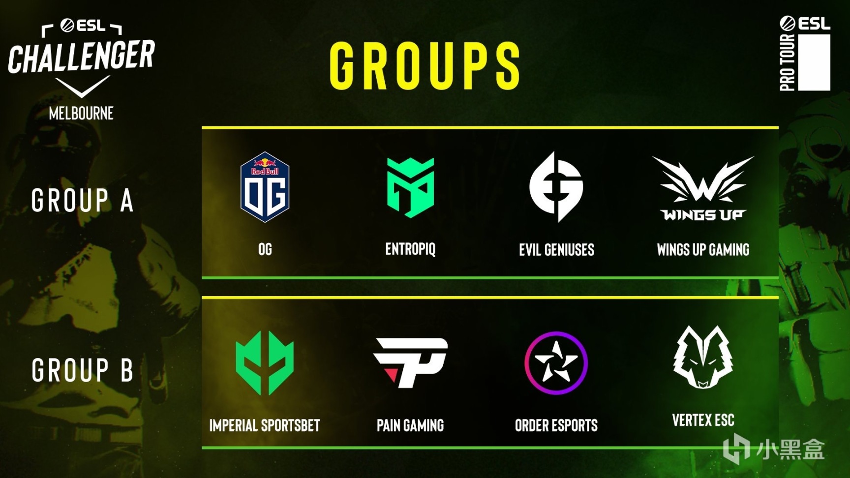 5E视频创作团队招募启事：视频创作创意之旅等你加入-雷竞技官网